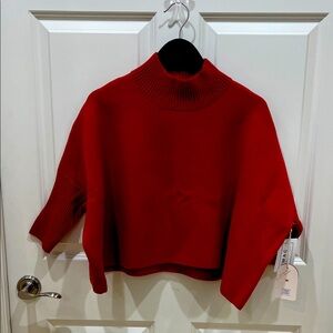 Kerisma Bold Red Cowl Neck Sweater